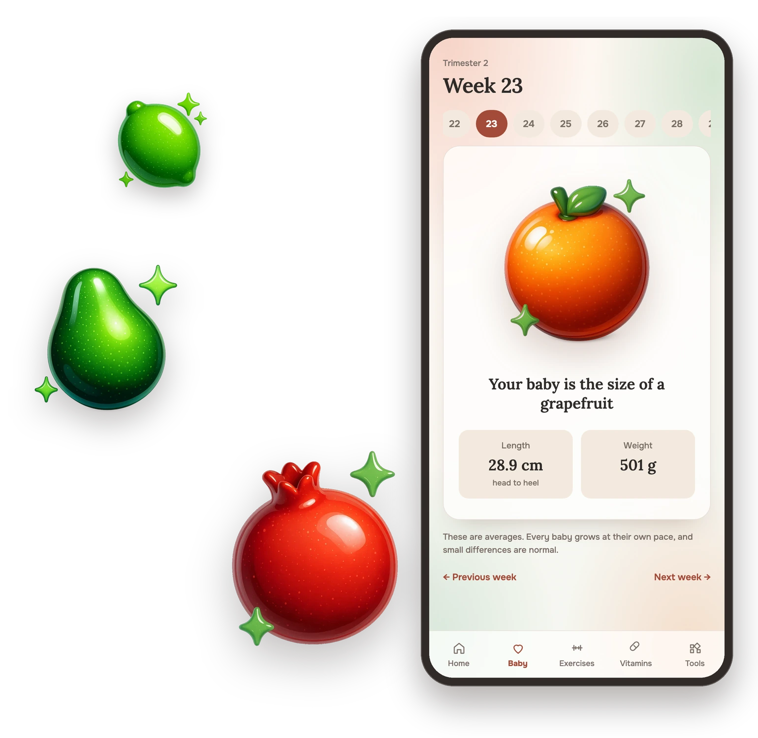 The Kroha week screen: week 23, a baby the size of a grapefruit, with illustrations of other weeks beside it